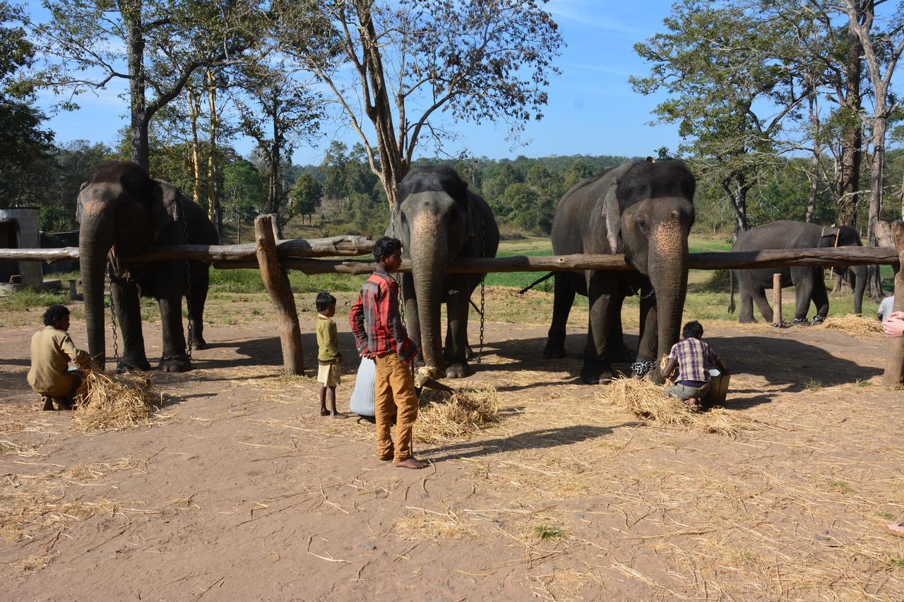 Red Earth Kabini Begur Екстер'єр фото