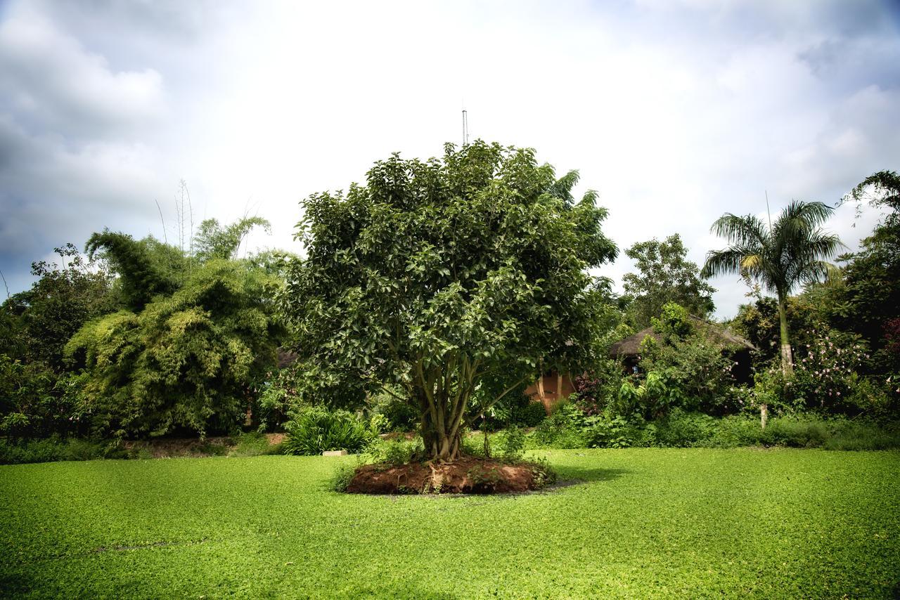 Red Earth Kabini Begur Екстер'єр фото